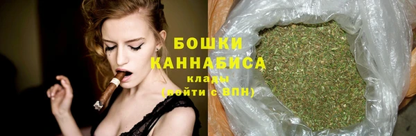 гидра Богородск