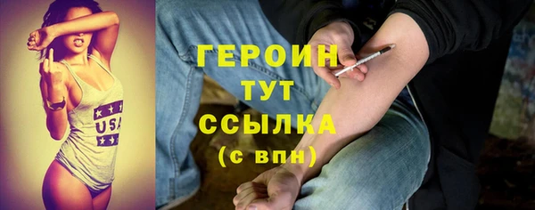 гидра Богородск