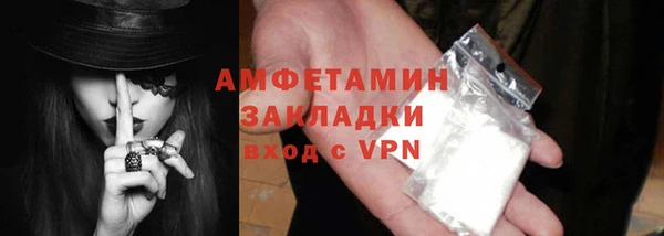 гидра Богородск