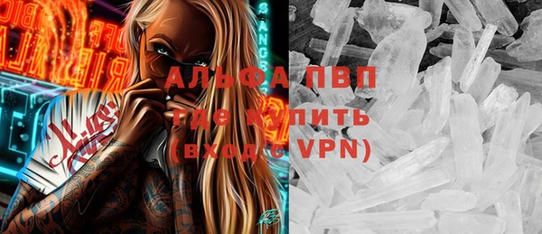 гидра Богородск
