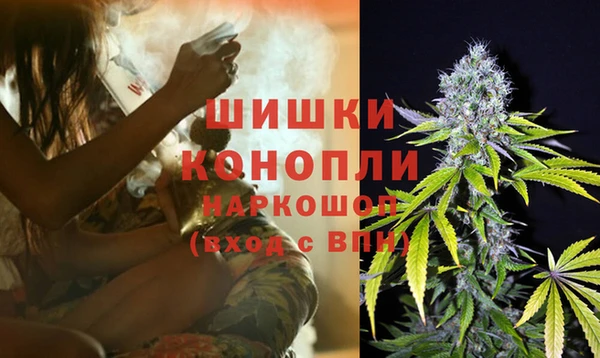 гидра Богородск