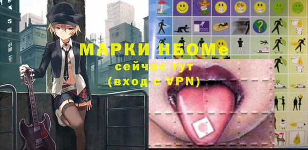 гидра Богородск