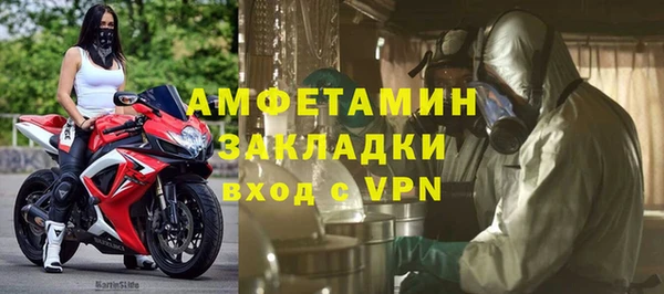 гидра Богородск