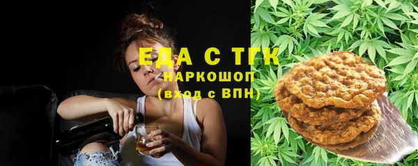 гидра Богородск